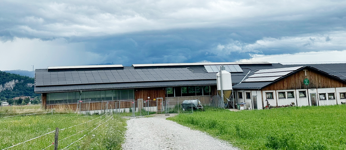 EBZ-Energie-Photovoltaik Landwirtschaft
