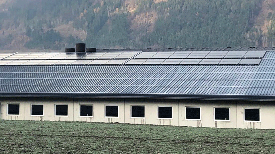 EBZ Energie Photovoltaik Gewerbe Bauernhof